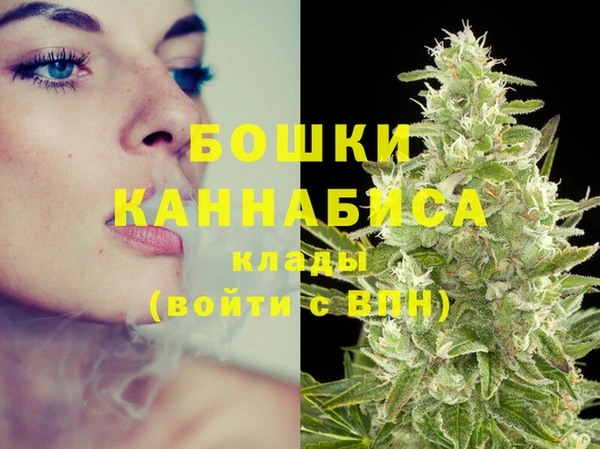 молекула духа Армянск