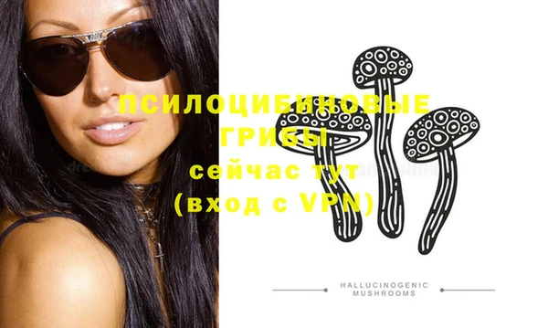 молекула духа Армянск